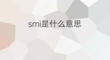 smi是什么意思 smi的中文翻译、读音、例句