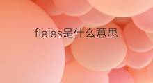 fieles是什么意思 fieles的中文翻译、读音、例句