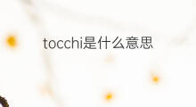 tocchi是什么意思 tocchi的中文翻译、读音、例句