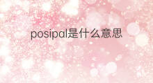 posipal是什么意思 posipal的中文翻译、读音、例句