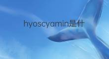 hyoscyamin是什么意思 hyoscyamin的中文翻译、读音、例句