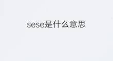 sese是什么意思 英文名sese的翻译、发音、来源