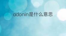 adonin是什么意思 adonin的中文翻译、读音、例句