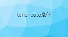tenericute是什么意思 tenericute的中文翻译、读音、例句