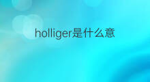 holliger是什么意思 holliger的中文翻译、读音、例句