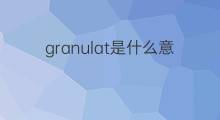 granulat是什么意思 granulat的中文翻译、读音、例句