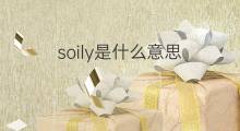 soily是什么意思 soily的中文翻译、读音、例句