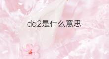 dq2是什么意思 dq2的中文翻译、读音、例句