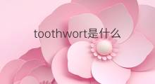 toothwort是什么意思 toothwort的中文翻译、读音、例句