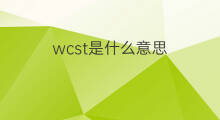 wcst是什么意思 wcst的中文翻译、读音、例句