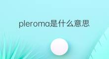pleroma是什么意思 pleroma的中文翻译、读音、例句