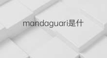 mandaguari是什么意思 mandaguari的中文翻译、读音、例句