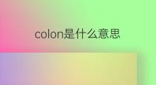 colon是什么意思 colon的中文翻译、读音、例句