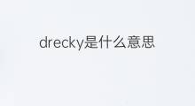 drecky是什么意思 drecky的中文翻译、读音、例句