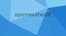 openmouthed是什么意思 openmouthed的中文翻译、读音、例句