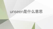 unseen是什么意思 unseen的中文翻译、读音、例句