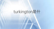 turkington是什么意思 turkington的中文翻译、读音、例句