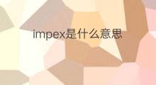 impex是什么意思 impex的中文翻译、读音、例句