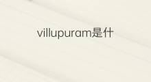 villupuram是什么意思 villupuram的中文翻译、读音、例句
