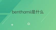benthamii是什么意思 benthamii的中文翻译、读音、例句