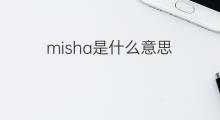 misha是什么意思 misha的中文翻译、读音、例句