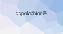 appalachian是什么意思 appalachian的中文翻译、读音、例句