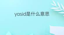 yasid是什么意思 yasid的中文翻译、读音、例句