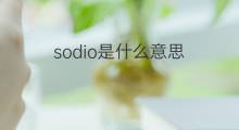 sodio是什么意思 sodio的中文翻译、读音、例句