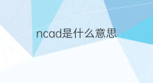 ncad是什么意思 ncad的中文翻译、读音、例句
