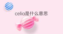 celia是什么意思 celia的中文翻译、读音、例句