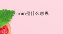spain是什么意思 spain的中文翻译、读音、例句