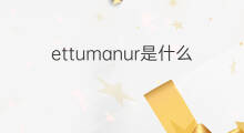 ettumanur是什么意思 ettumanur的中文翻译、读音、例句
