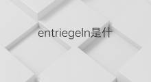 entriegeln是什么意思 entriegeln的中文翻译、读音、例句