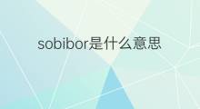 sobibor是什么意思 sobibor的中文翻译、读音、例句