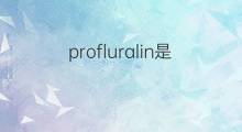 profluralin是什么意思 profluralin的中文翻译、读音、例句