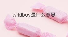 wildboy是什么意思 wildboy的中文翻译、读音、例句