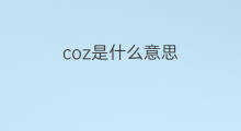 coz是什么意思 coz的中文翻译、读音、例句