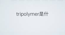 tripolymer是什么意思 tripolymer的中文翻译、读音、例句