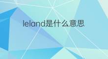 leland是什么意思 leland的中文翻译、读音、例句