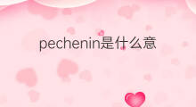 pechenin是什么意思 pechenin的中文翻译、读音、例句