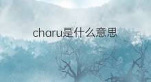 charu是什么意思 英文名charu的翻译、发音、来源