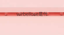 wirbellose是什么意思 wirbellose的中文翻译、读音、例句