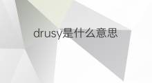 drusy是什么意思 drusy的中文翻译、读音、例句