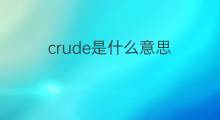 crude是什么意思 crude的中文翻译、读音、例句