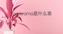 tomiyama是什么意思 tomiyama的中文翻译、读音、例句