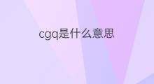 cgq是什么意思 cgq的中文翻译、读音、例句