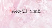 seedy是什么意思 seedy的中文翻译、读音、例句
