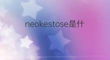 neokestose是什么意思 neokestose的中文翻译、读音、例句
