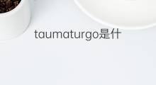 taumaturgo是什么意思 taumaturgo的中文翻译、读音、例句