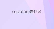 salvatore是什么意思 salvatore的中文翻译、读音、例句